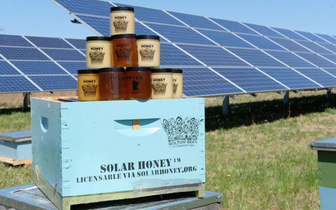 Solar Farm Honey 1440