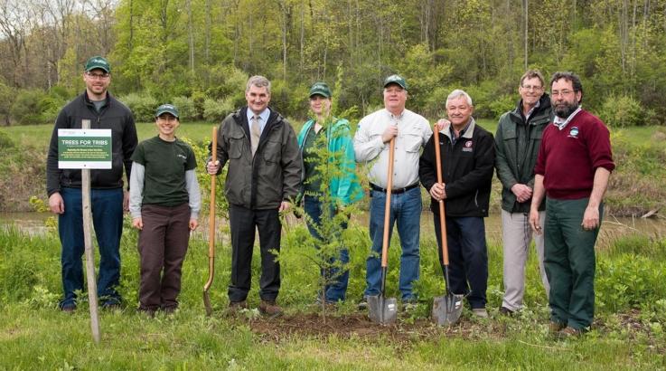 Trees For Tribs 2017 1440x800