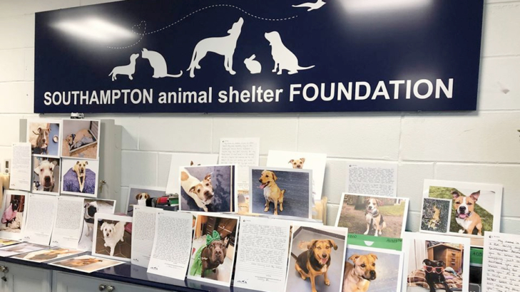 Southampton Animal Shelter