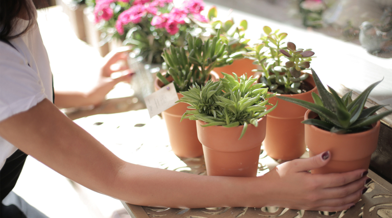 Bristal Flower Pots