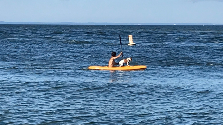 Long Island Sound Kayak