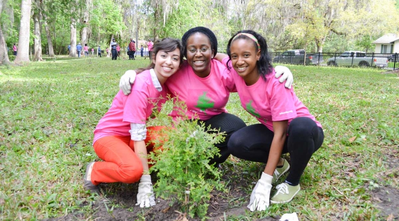 Arbor Day Celebration Ideas