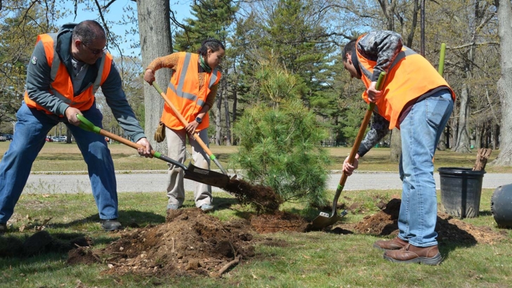 Arbor Day 2022 Pseg Li