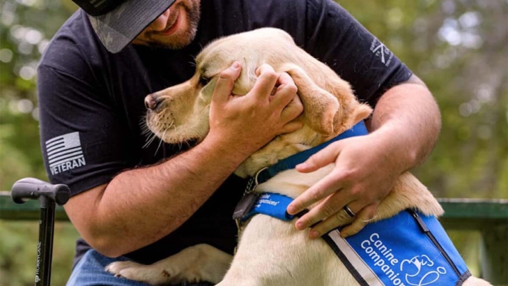 Canine Companions Dogfest